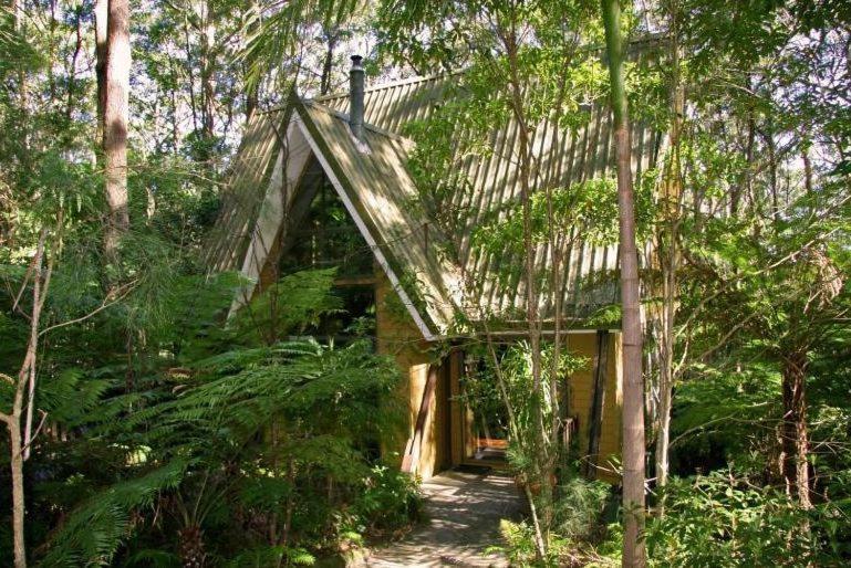 Springbrook Mountain Chalets Cameră foto