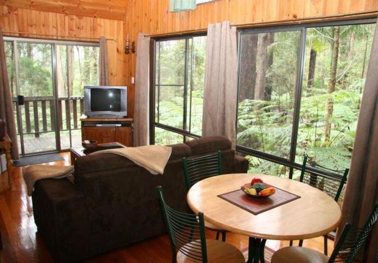 Springbrook Mountain Chalets Cameră foto