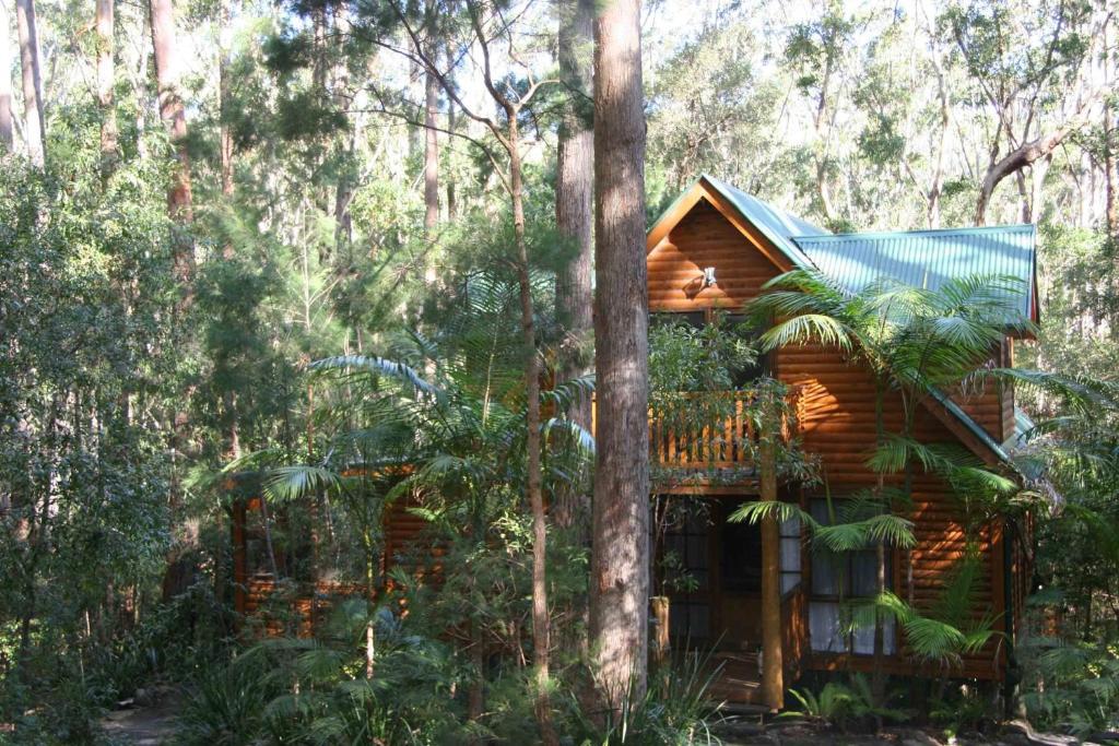 Springbrook Mountain Chalets Cameră foto