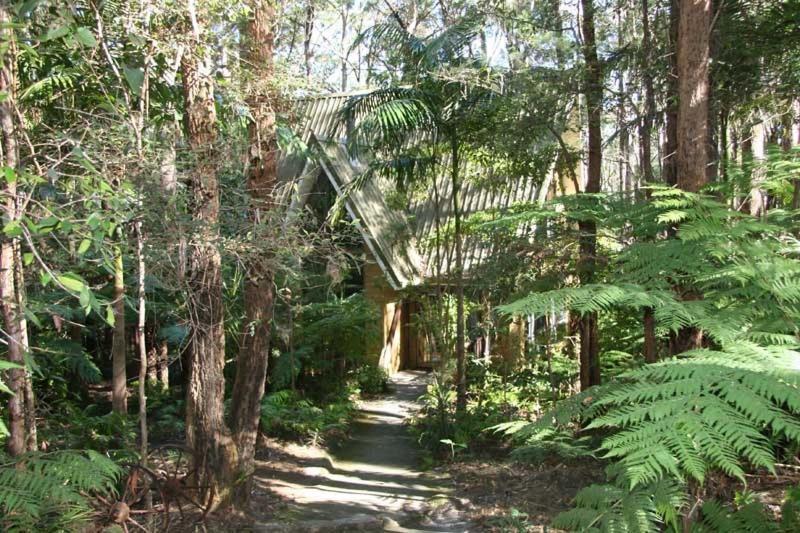 Springbrook Mountain Chalets Cameră foto
