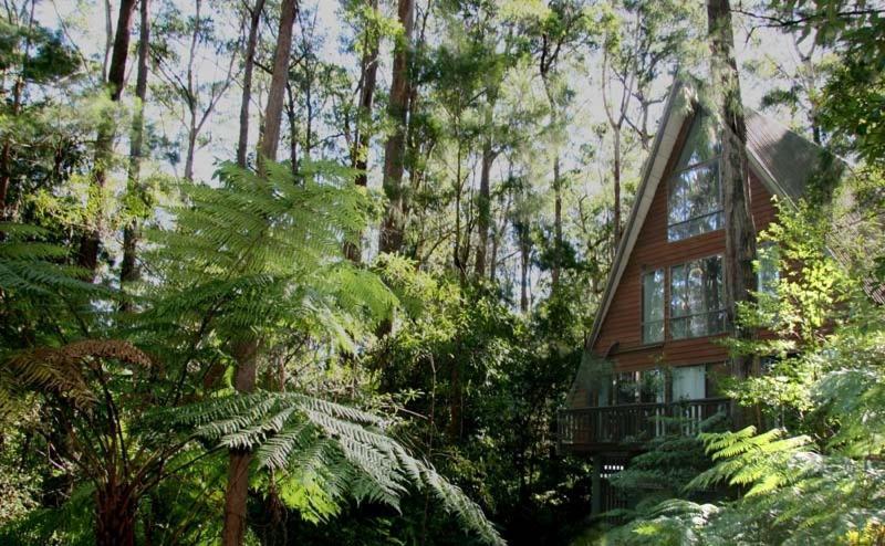 Springbrook Mountain Chalets Exterior foto