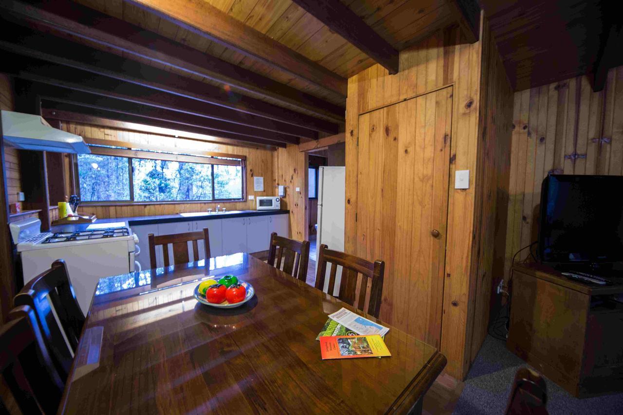 Springbrook Mountain Chalets Cameră foto