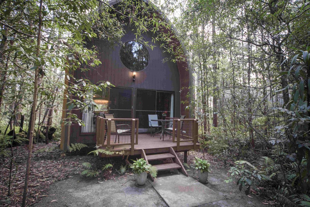 Springbrook Mountain Chalets Cameră foto