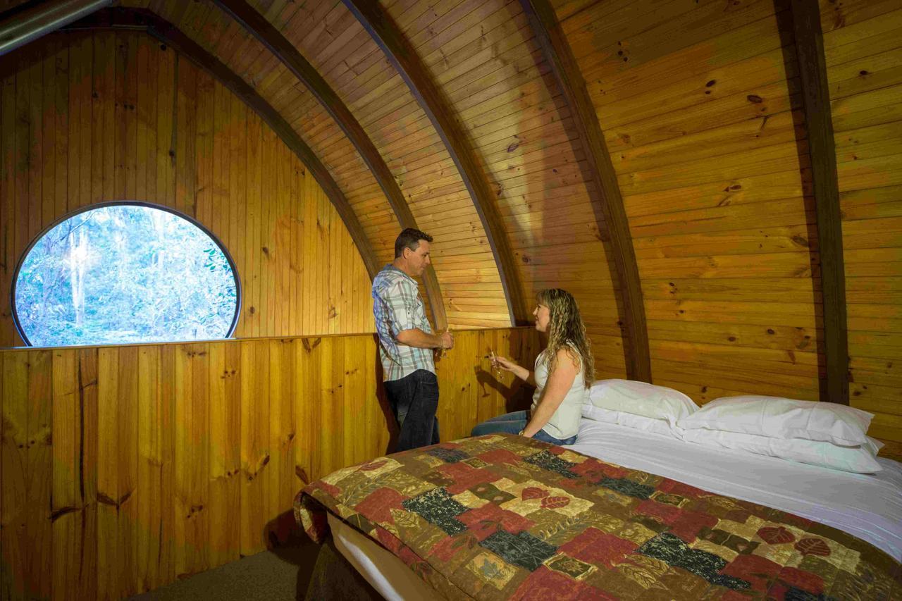 Springbrook Mountain Chalets Cameră foto